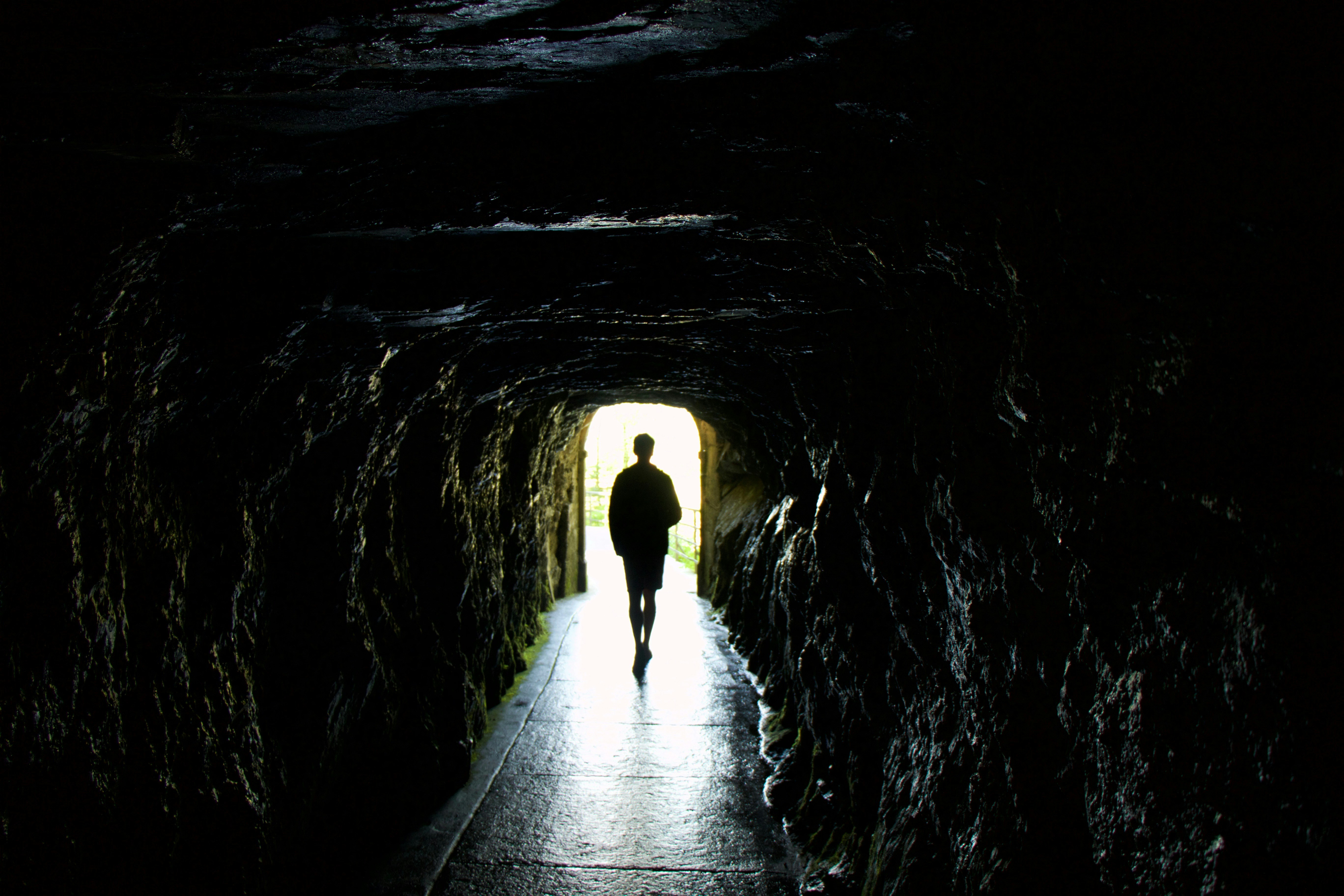 Navigating Biotech Layoffs: A Resilience Guide for PhD Job Seekers